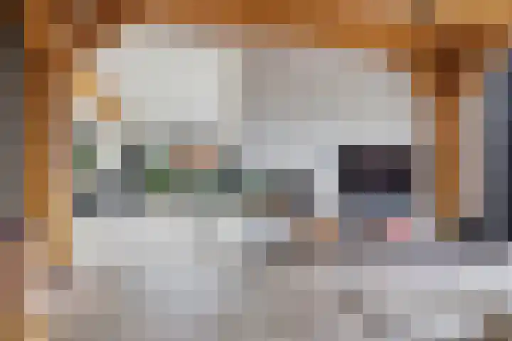 Oosteinde 17 Wormer thumbnail 24