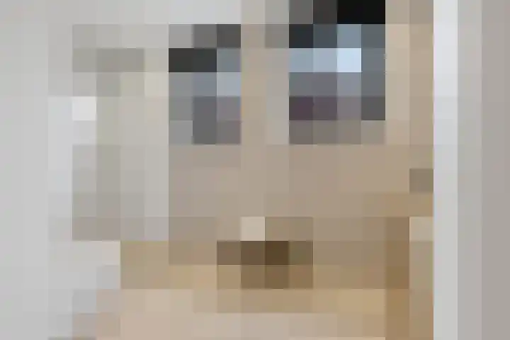 Oosteinde 17 Wormer thumbnail 39