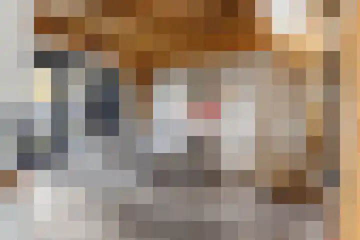 Oosteinde 17 Wormer thumbnail 43