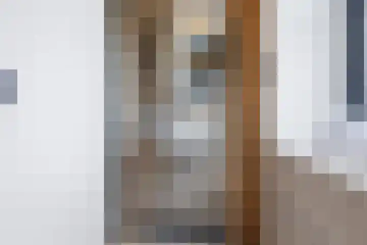 Oosteinde 17 Wormer thumbnail 51