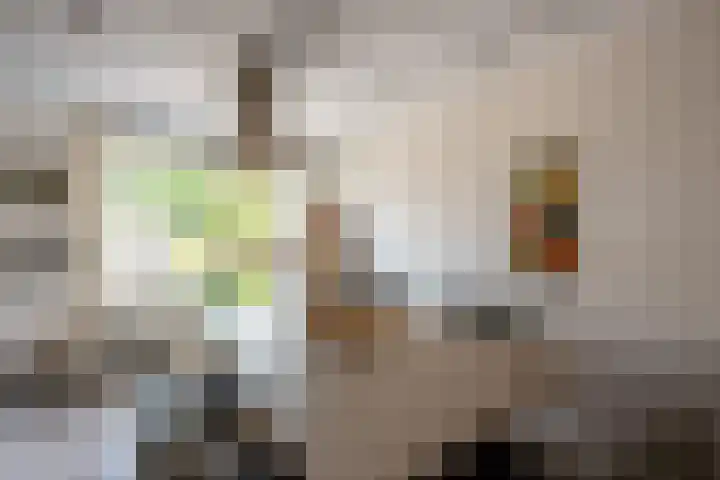 Oosteinde 18 a Oosthuizen thumbnail 17