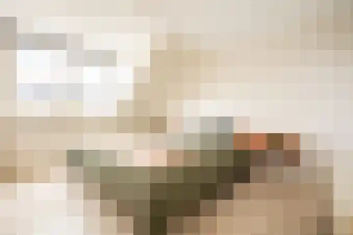 Oosteinde 18 a Oosthuizen thumbnail 24