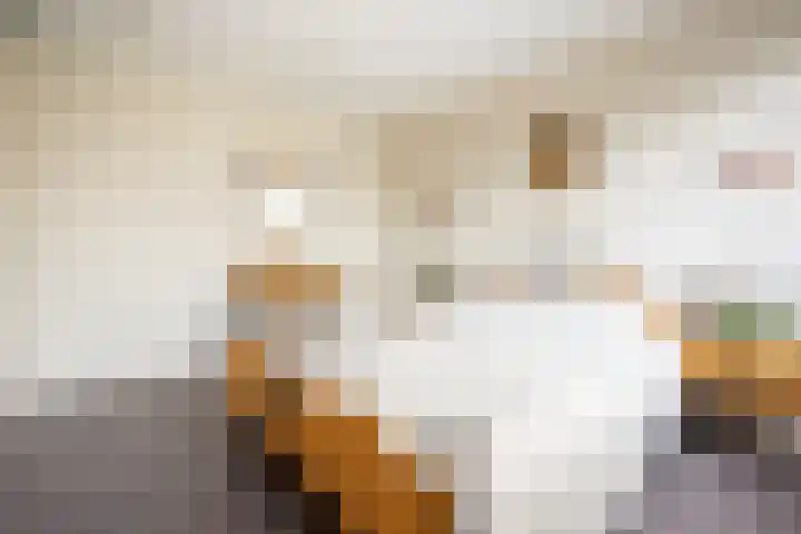 Oosteinde 18 a Oosthuizen thumbnail 27