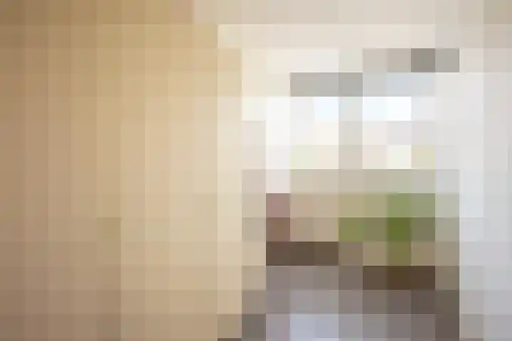Oosteinde 18 a Oosthuizen thumbnail 28