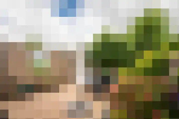 Oosteinde 18 a Oosthuizen thumbnail 35