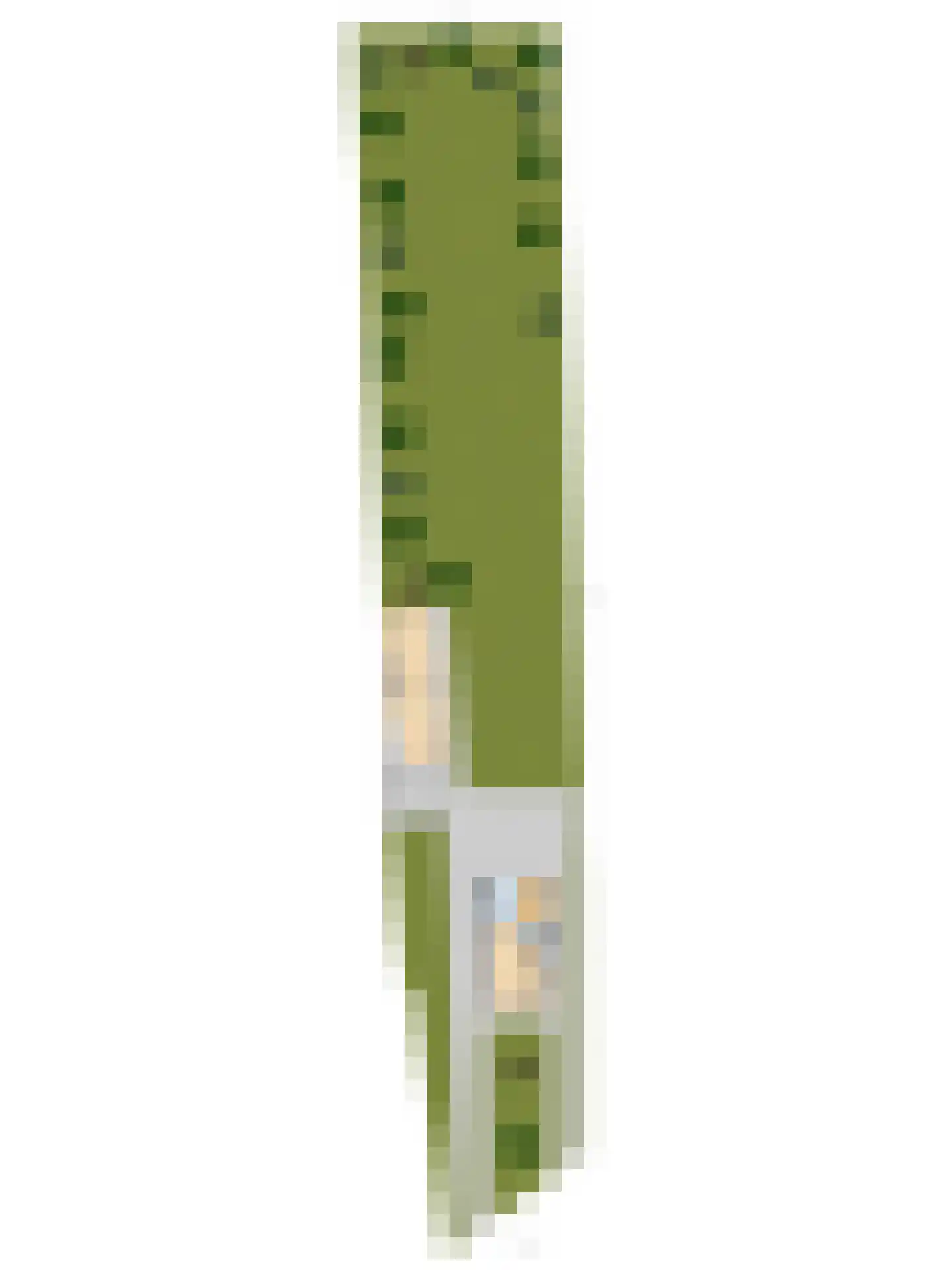 Oosteinde 185 Vriezenveen thumbnail 103
