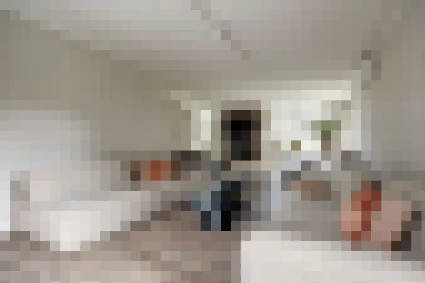 Oosteinde 185 Vriezenveen thumbnail 16