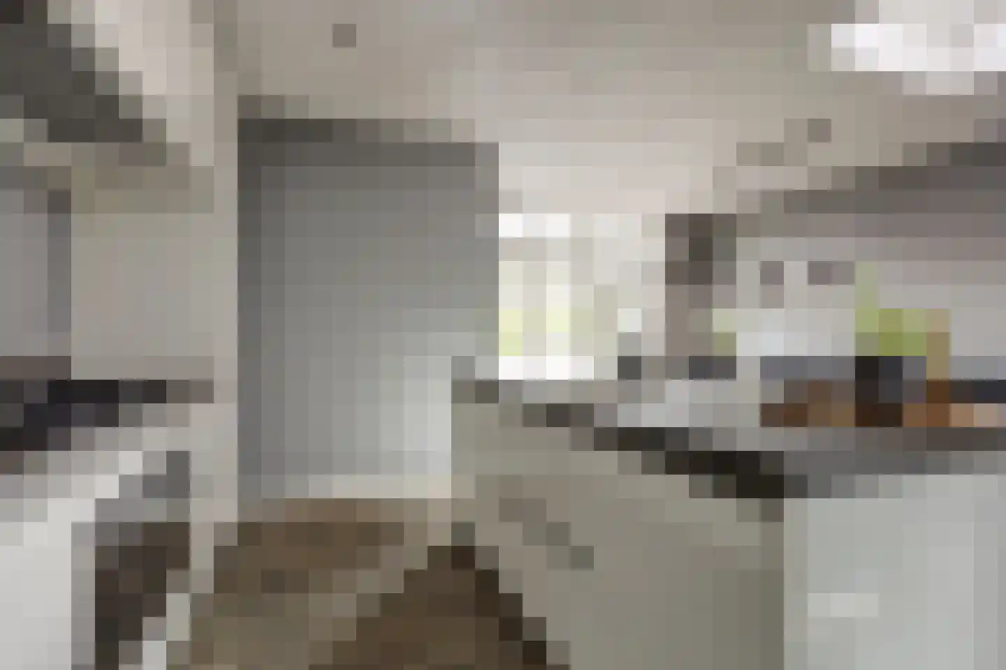 Oosteinde 185 Vriezenveen thumbnail 23