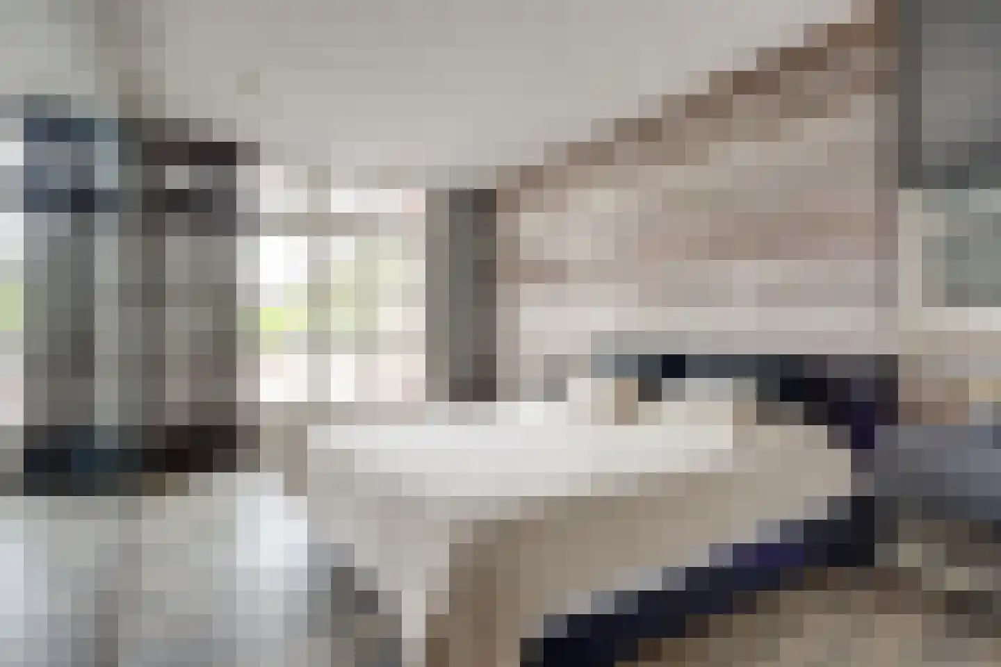 Oosteinde 185 Vriezenveen thumbnail 26