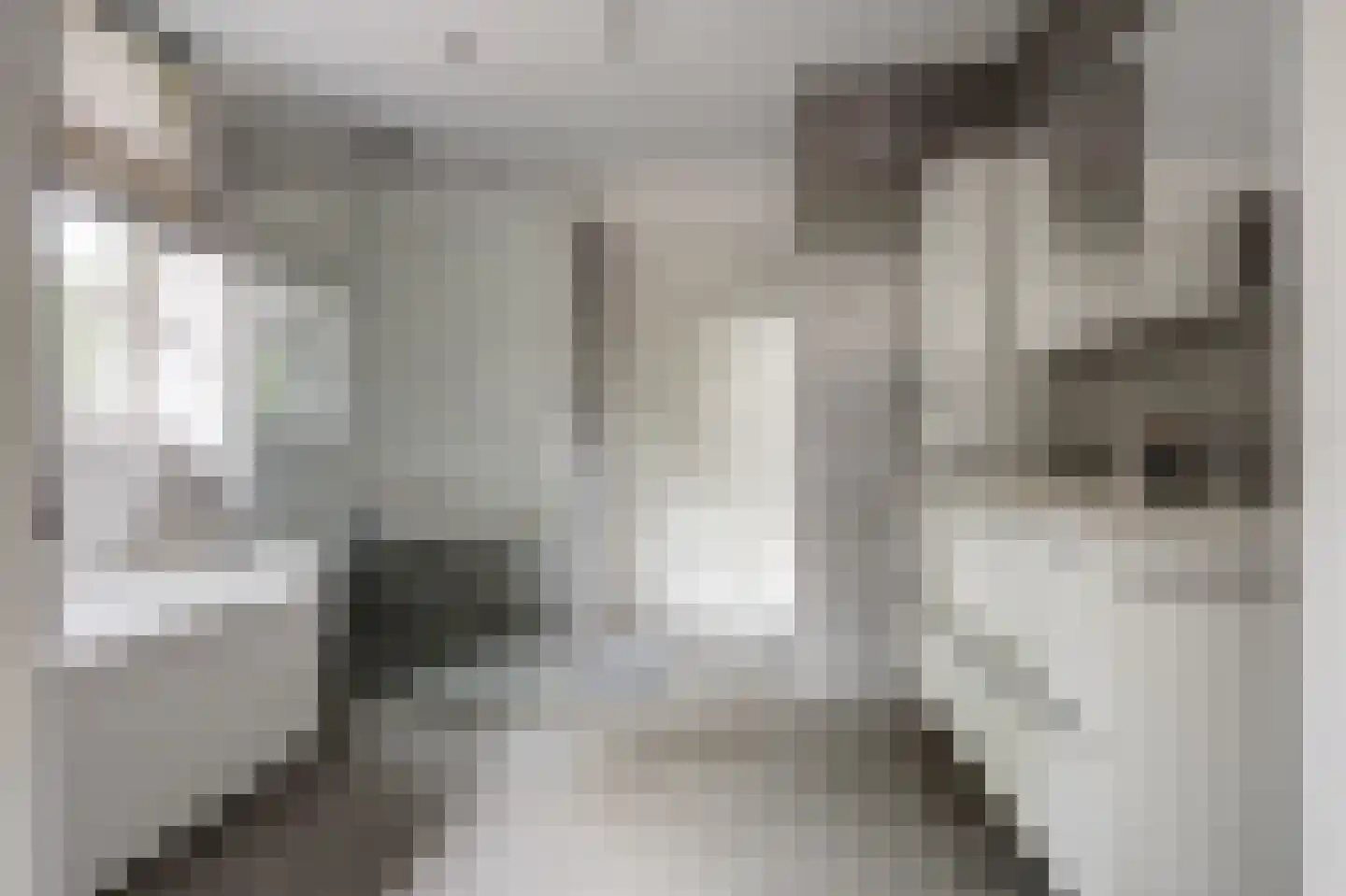 Oosteinde 185 Vriezenveen thumbnail 28