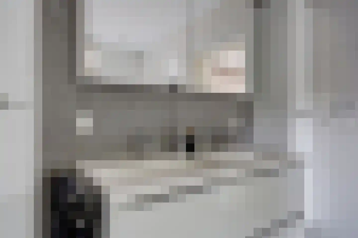 Oosteinde 185 Vriezenveen thumbnail 29