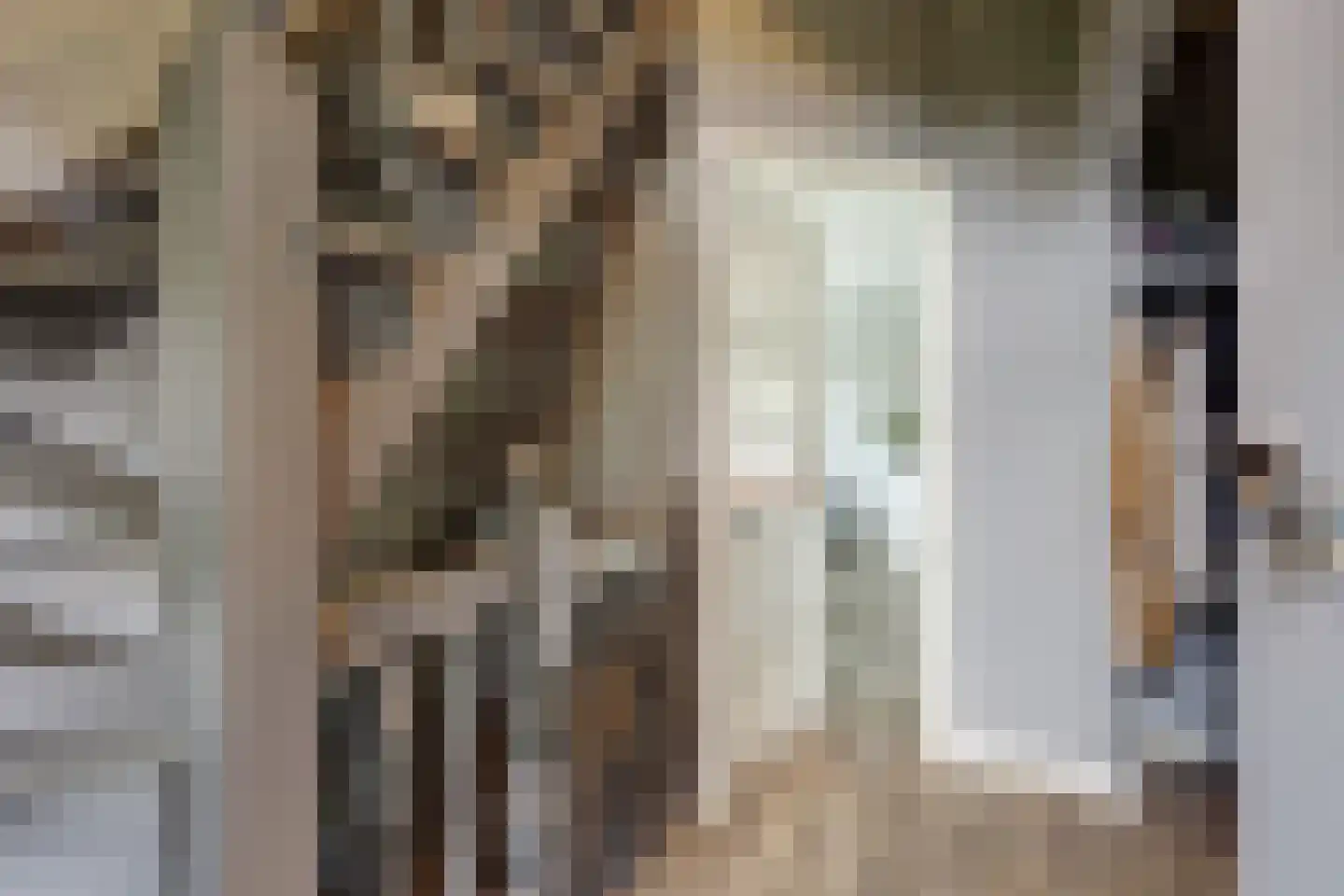 Oosteinde 185 Vriezenveen thumbnail 32