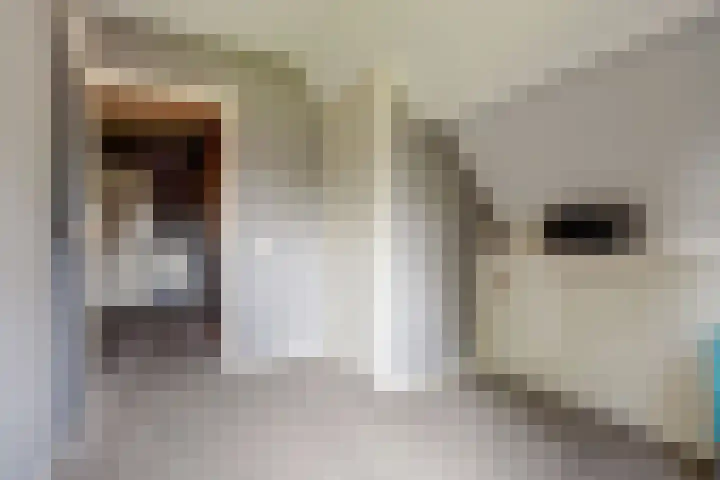Oosteinde 185 Vriezenveen thumbnail 35