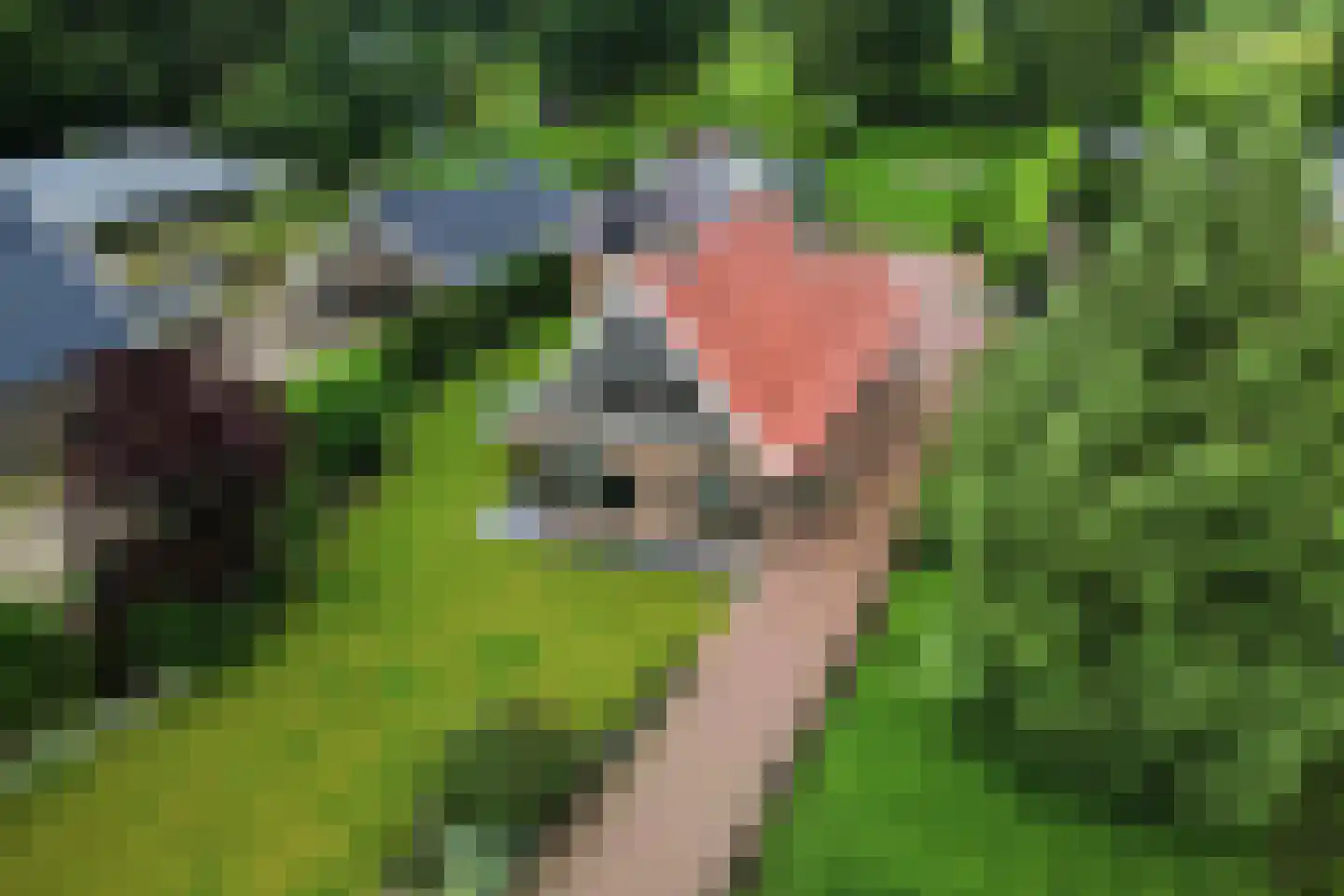 Oosteinde 185 Vriezenveen thumbnail 4