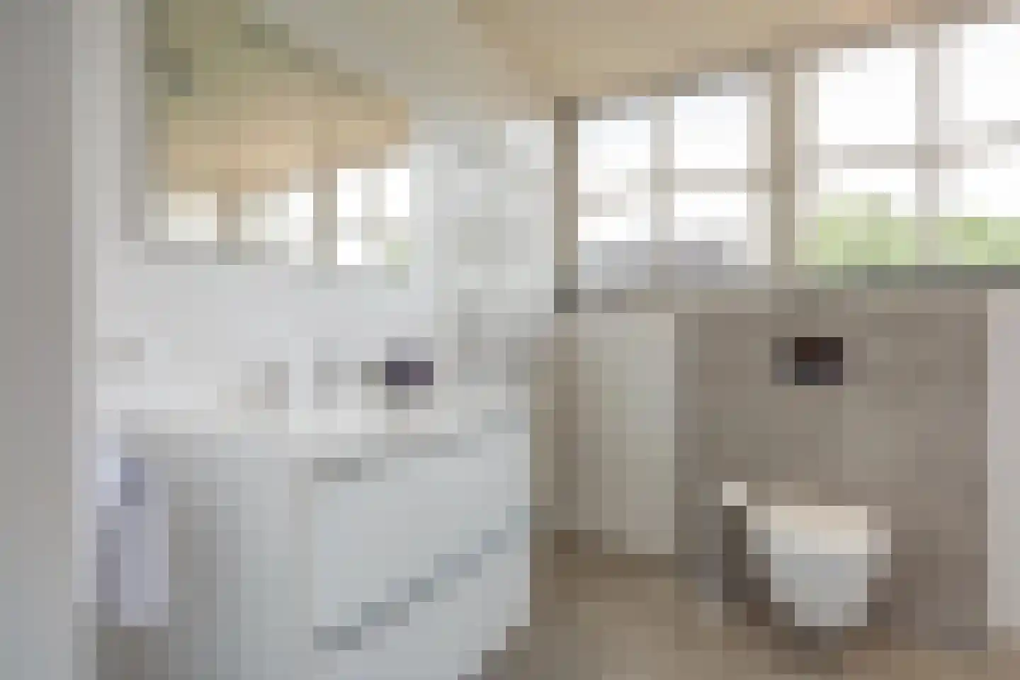 Oosteinde 185 Vriezenveen thumbnail 41