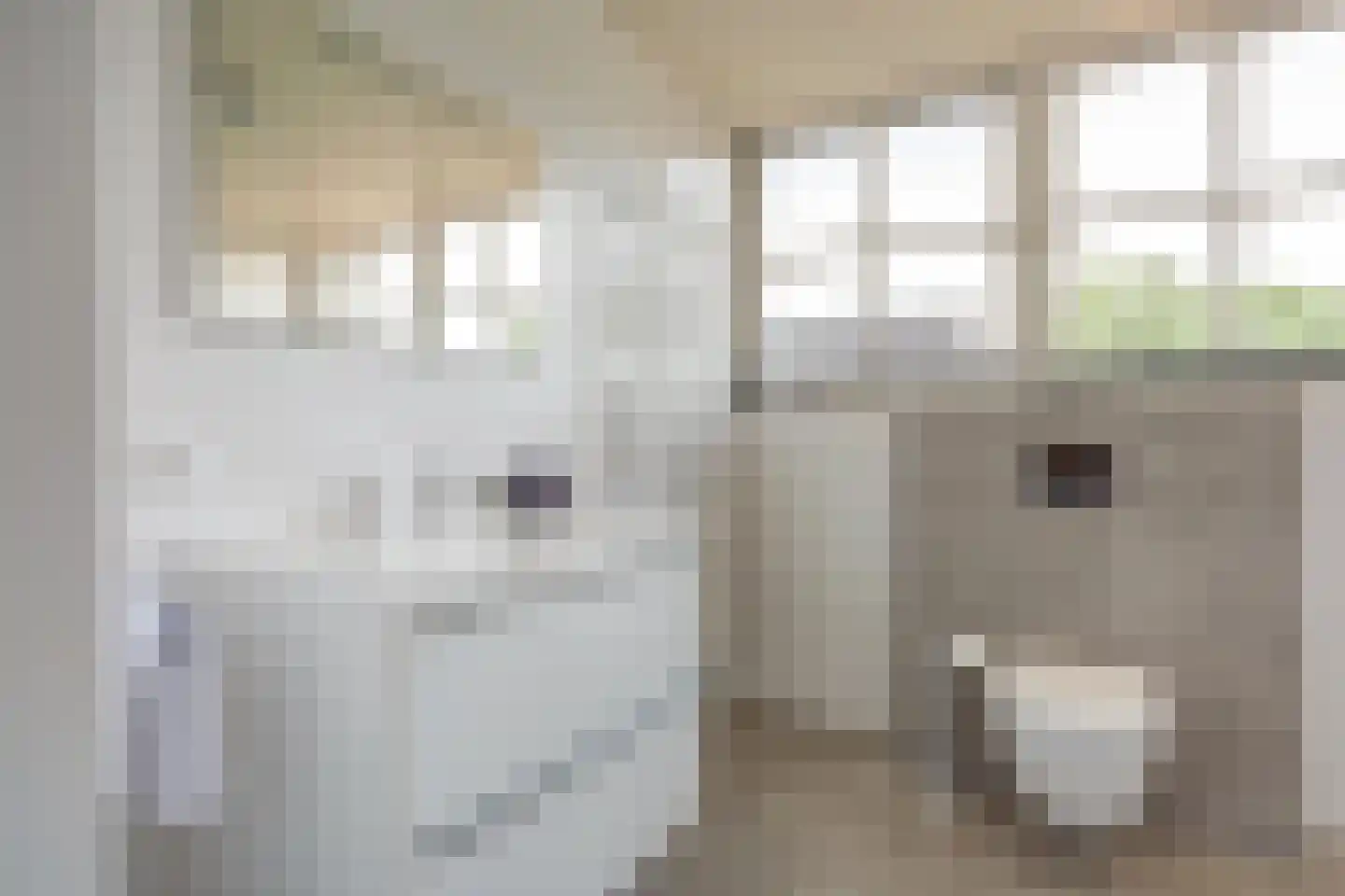 Oosteinde 185 Vriezenveen thumbnail 43