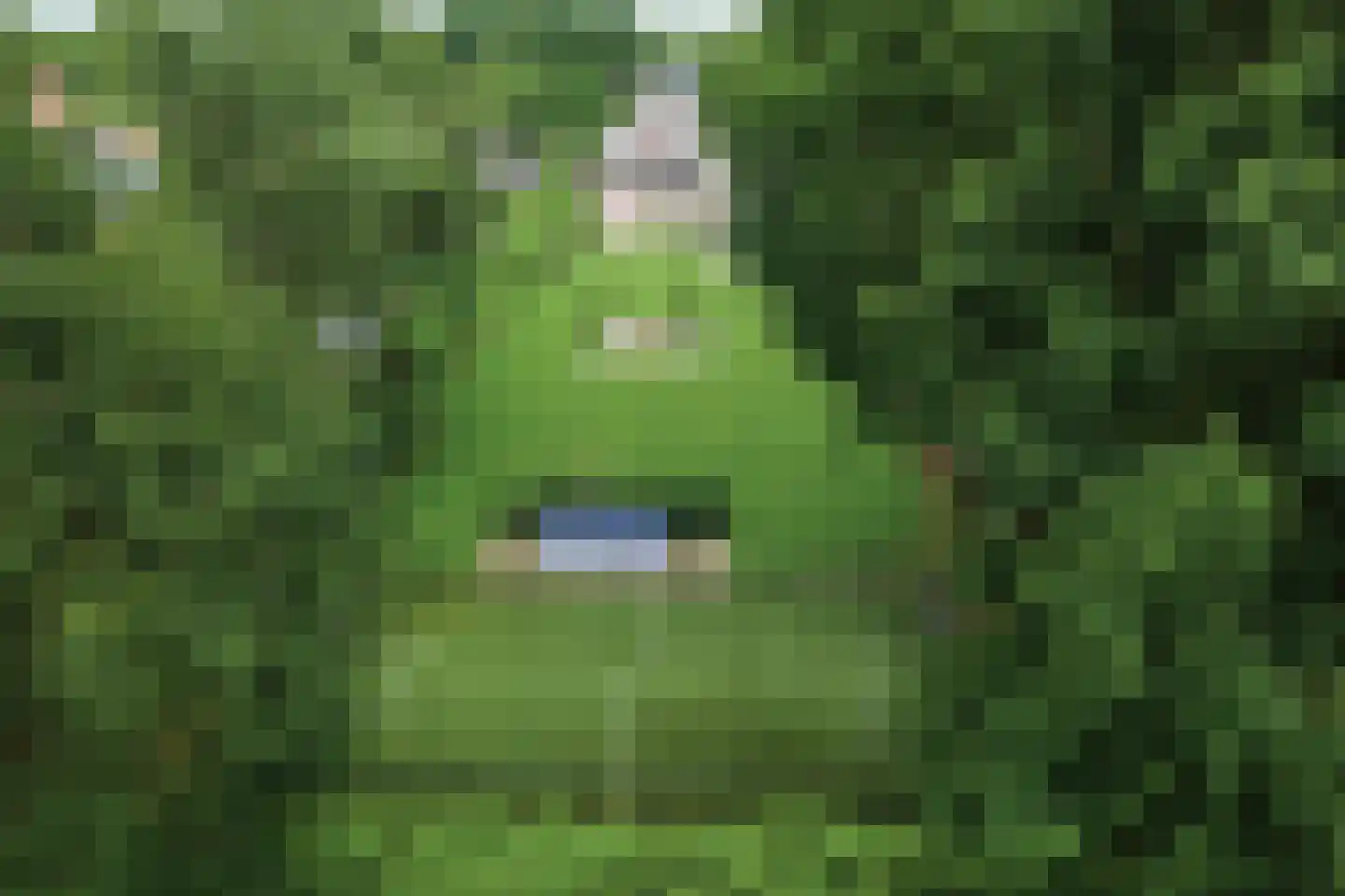 Oosteinde 185 Vriezenveen thumbnail 5
