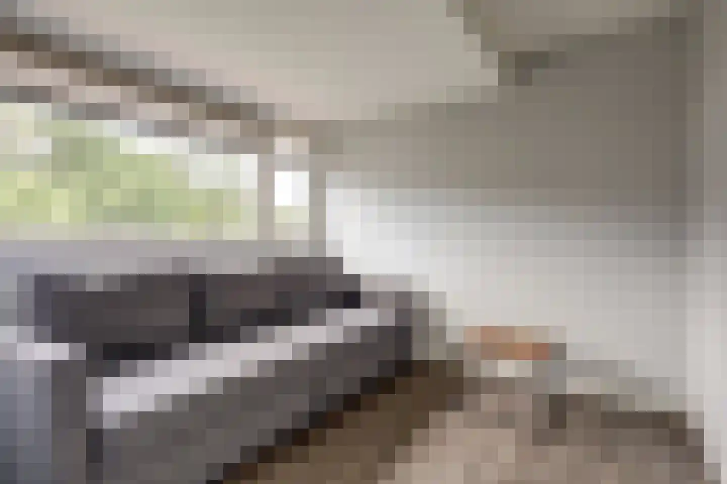 Oosteinde 185 Vriezenveen thumbnail 62
