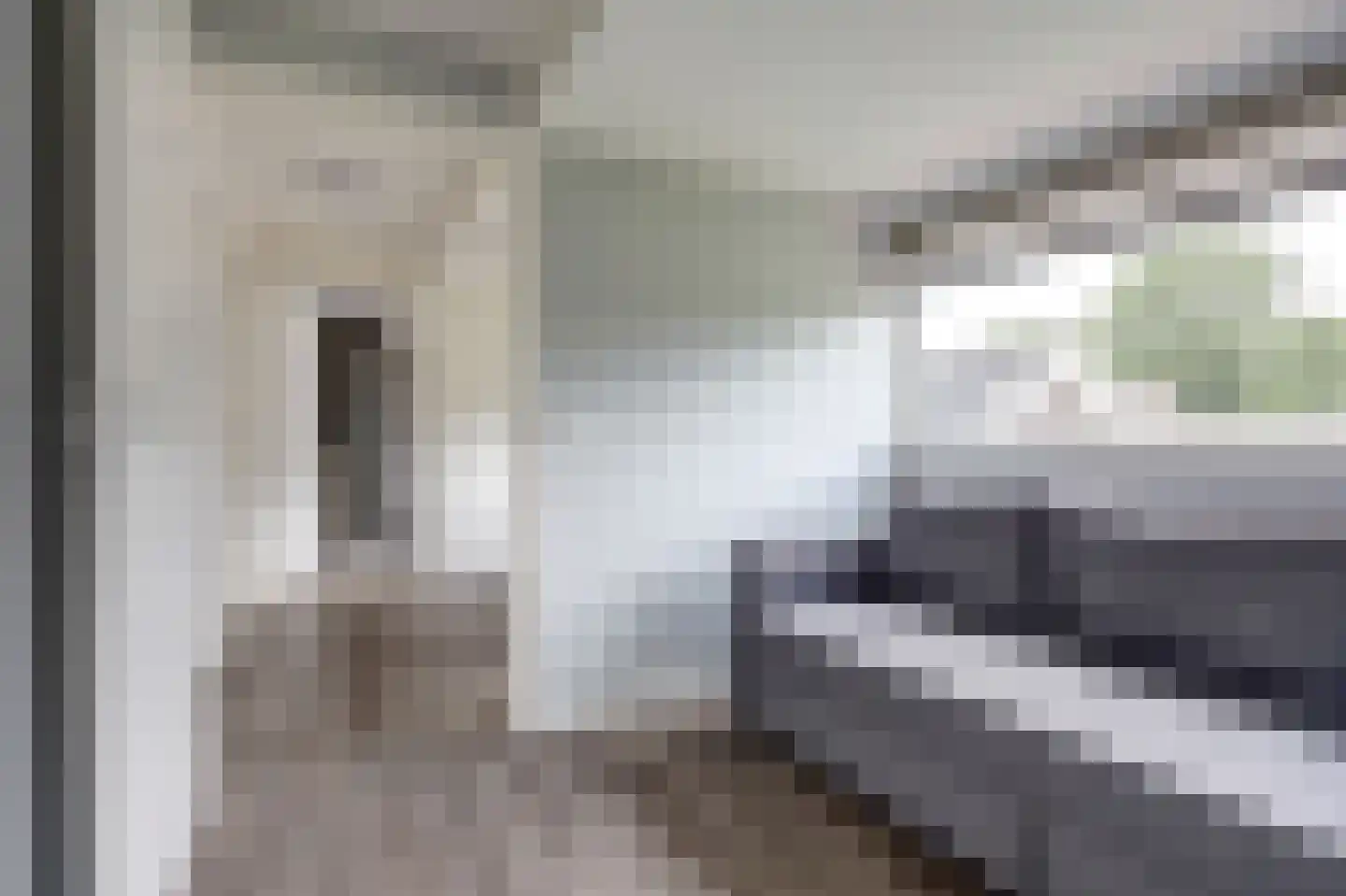 Oosteinde 185 Vriezenveen thumbnail 63