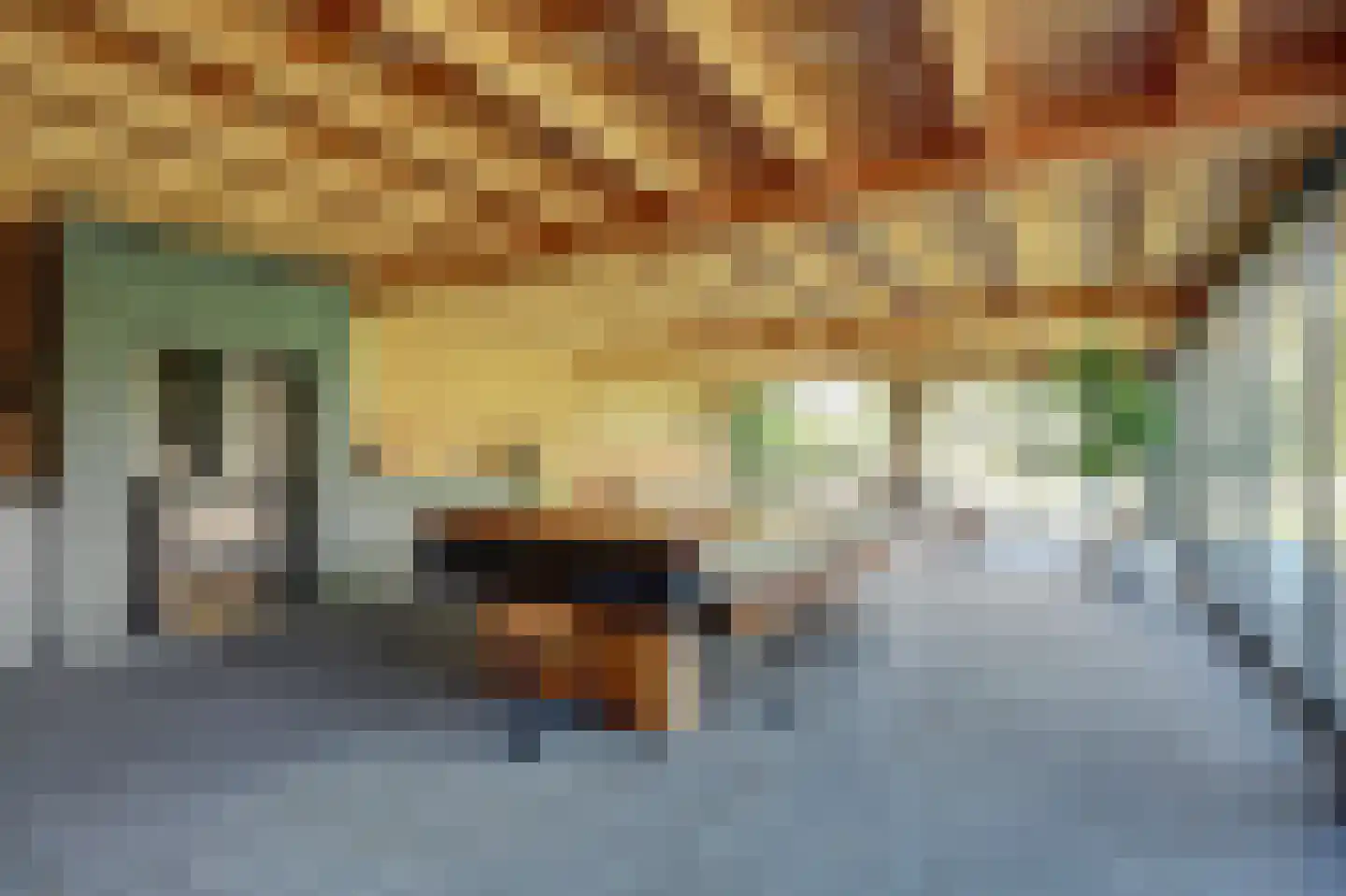Oosteinde 185 Vriezenveen thumbnail 66