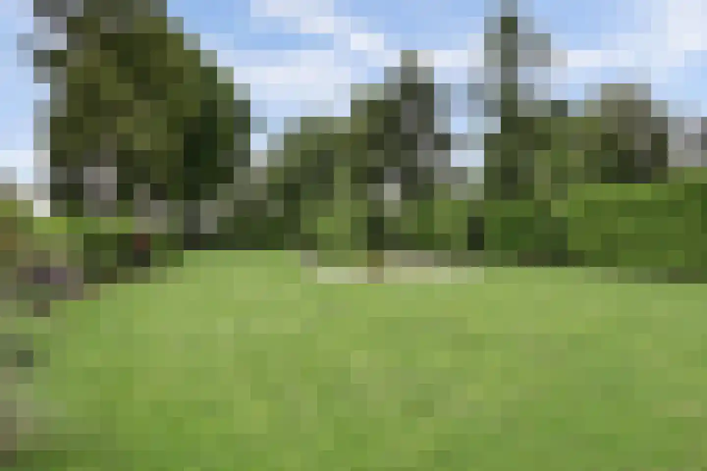 Oosteinde 185 Vriezenveen thumbnail 74