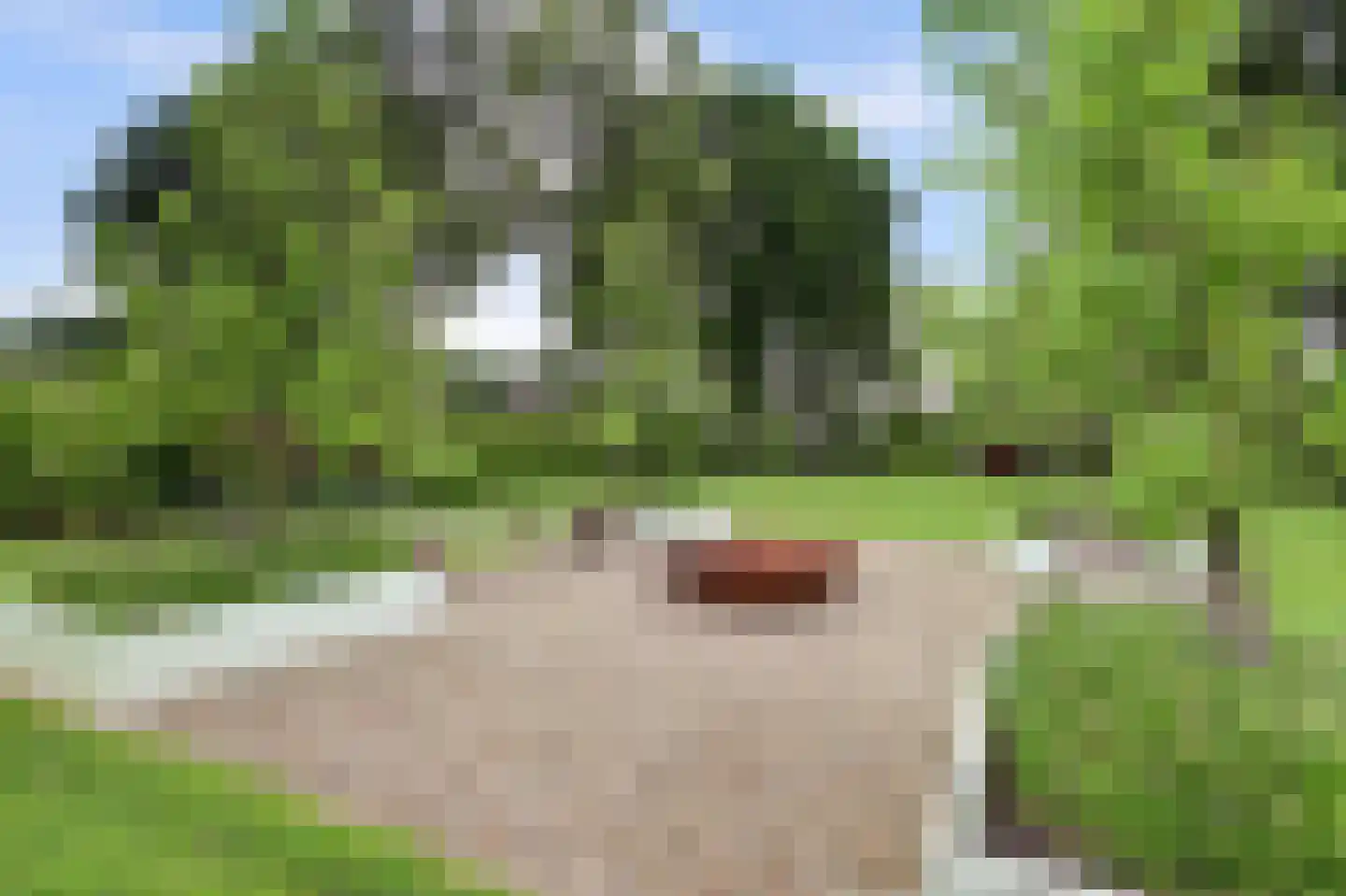 Oosteinde 185 Vriezenveen thumbnail 75