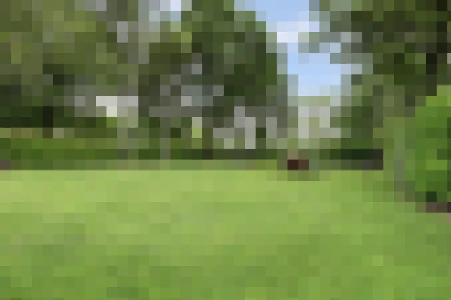 Oosteinde 185 Vriezenveen thumbnail 76