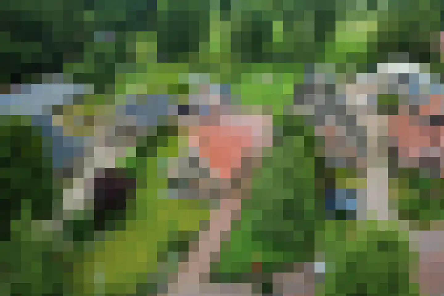 Oosteinde 185 Vriezenveen thumbnail 81