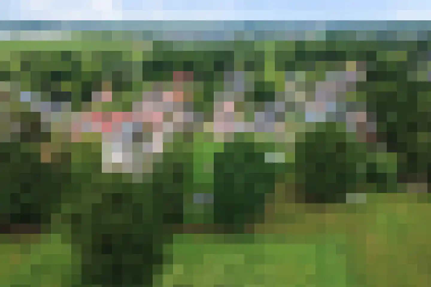 Oosteinde 185 Vriezenveen thumbnail 84