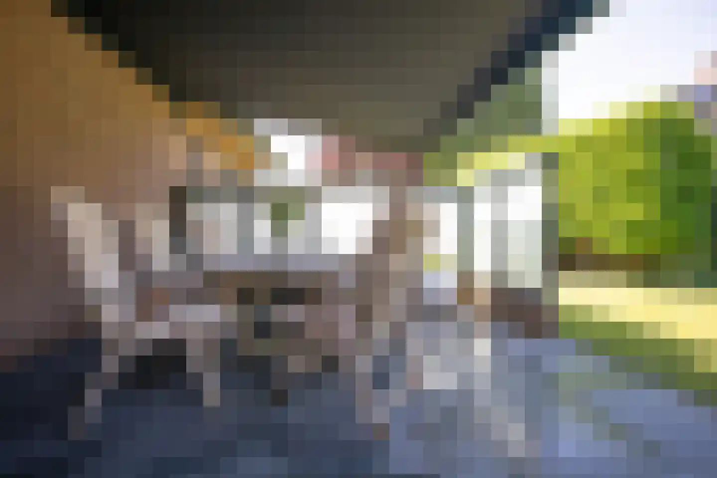 Oosteinde 185 Vriezenveen thumbnail 89