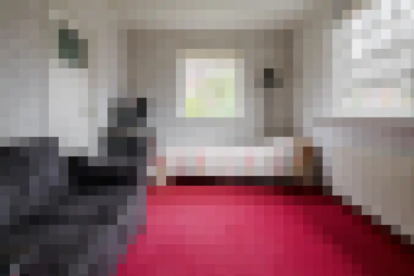 Oosteinde 196 Vriezenveen thumbnail 12