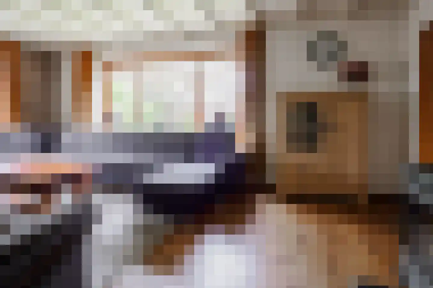 Oosteinde 196 Vriezenveen thumbnail 19