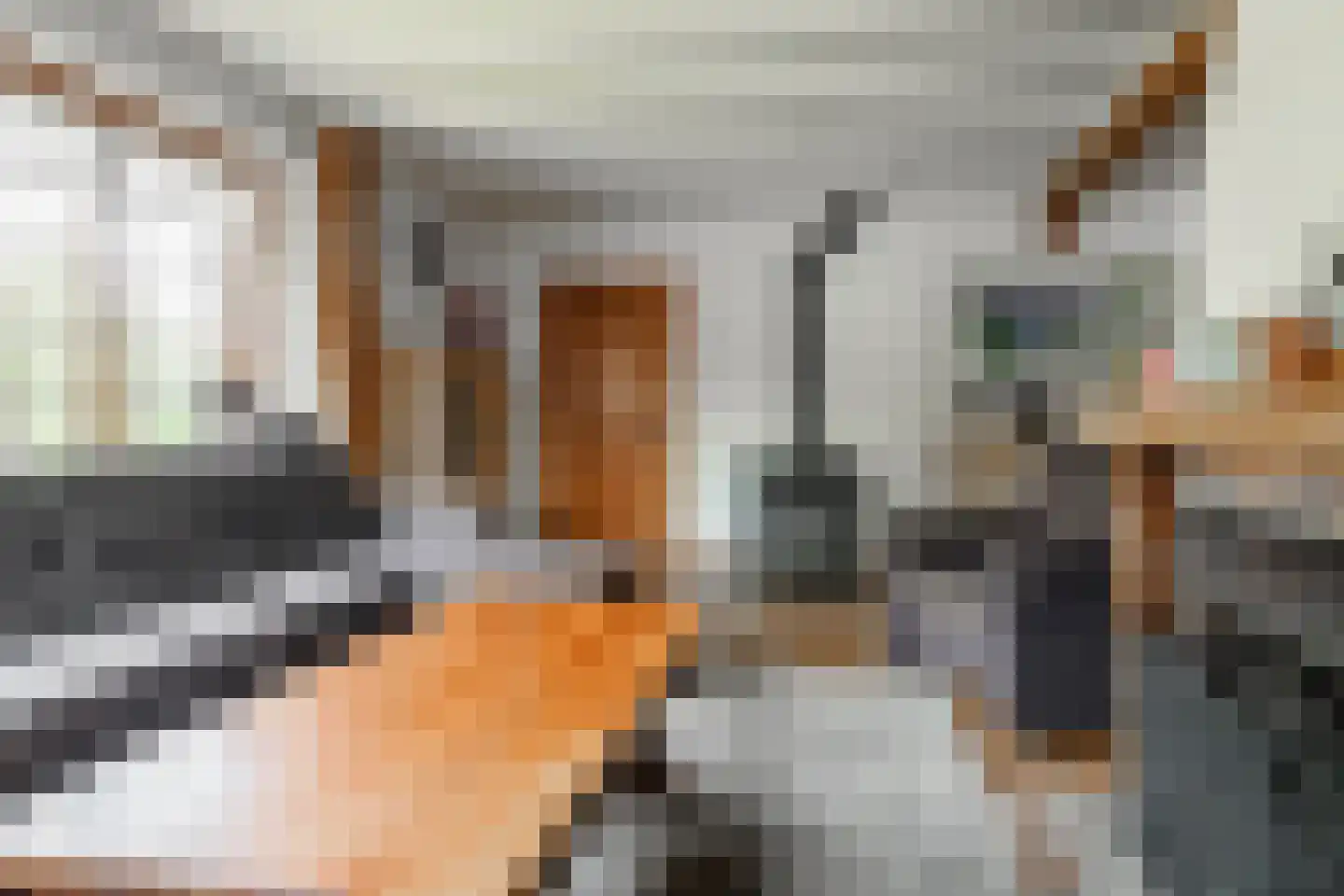 Oosteinde 196 Vriezenveen thumbnail 22