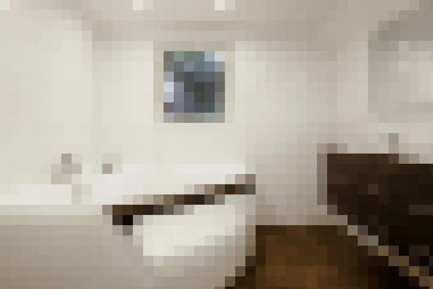 Oosteinde 196 Vriezenveen thumbnail 36