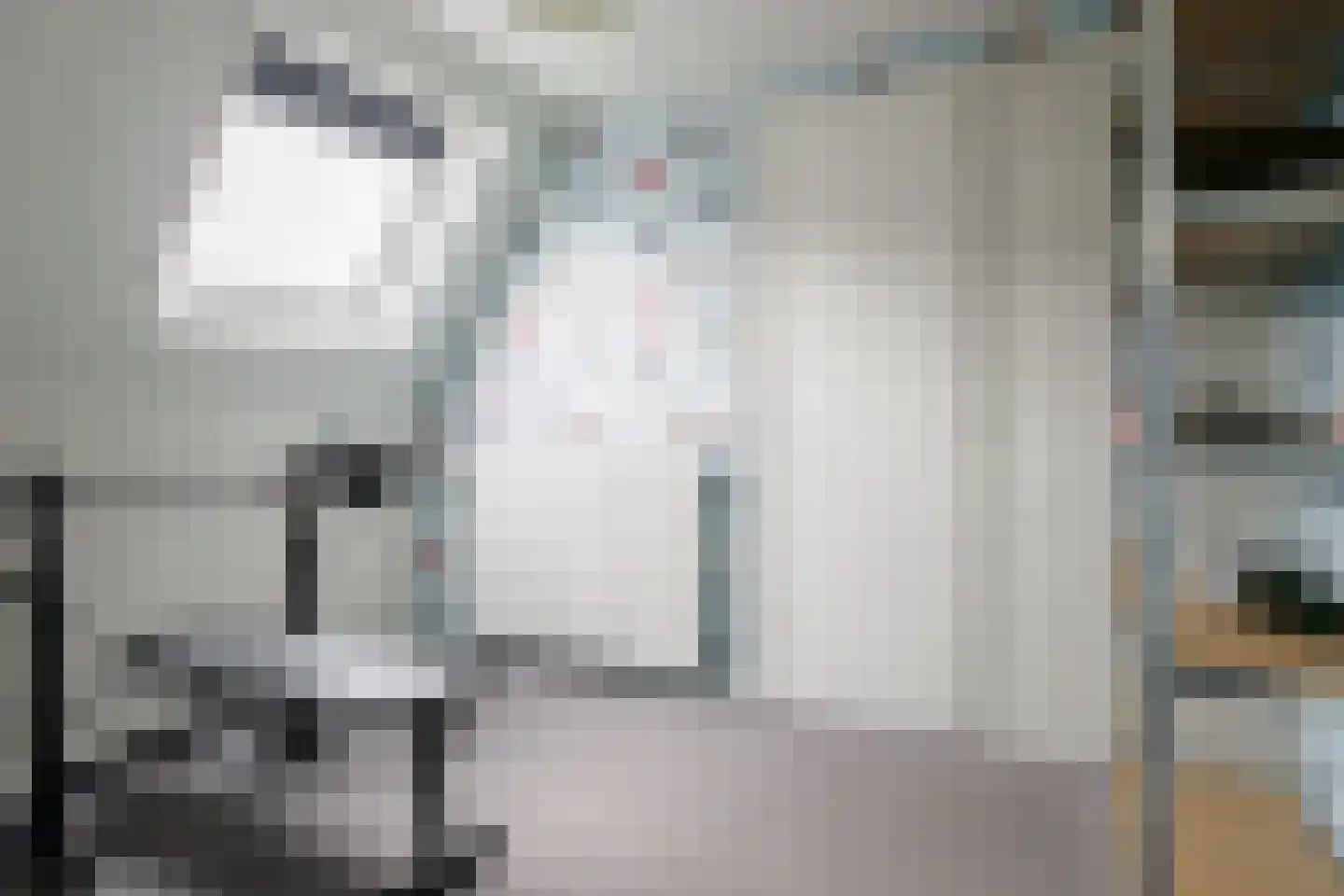 Oosteinde 196 Vriezenveen thumbnail 45