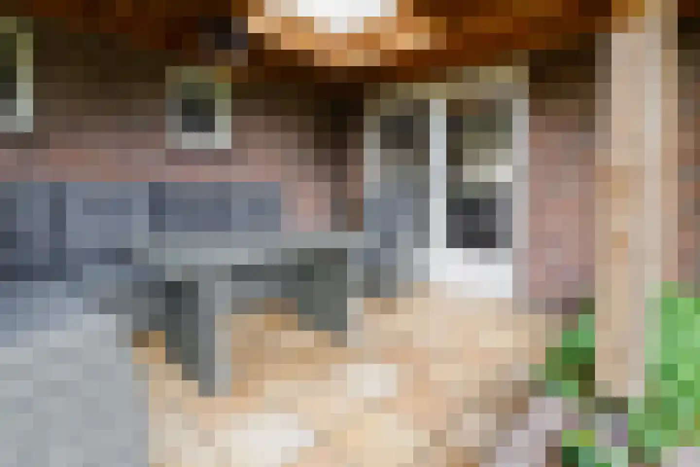 Oosteinde 196 Vriezenveen thumbnail 50