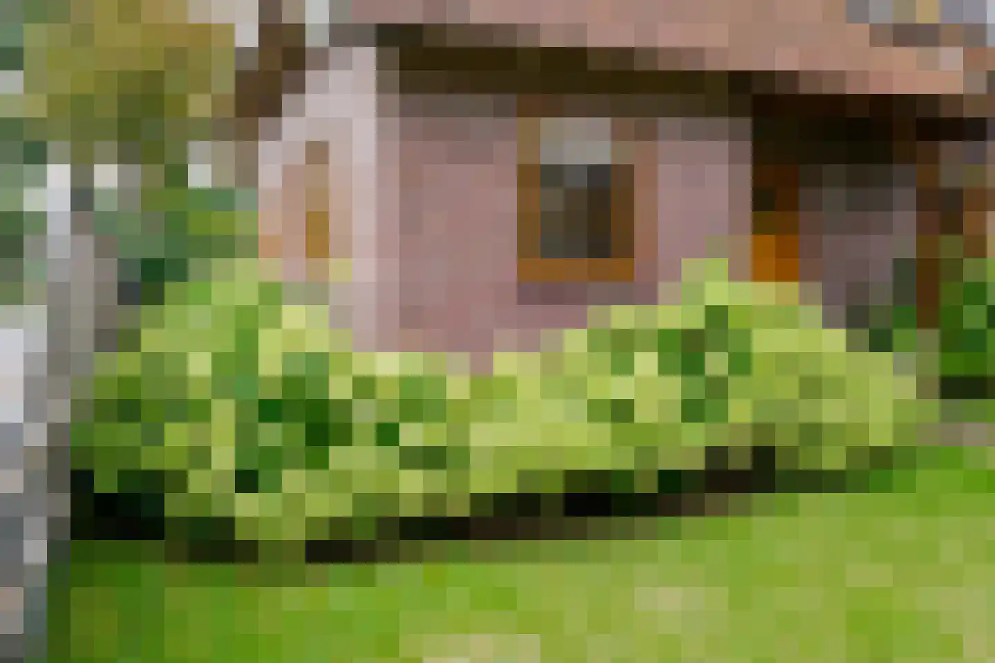 Oosteinde 196 Vriezenveen thumbnail 53