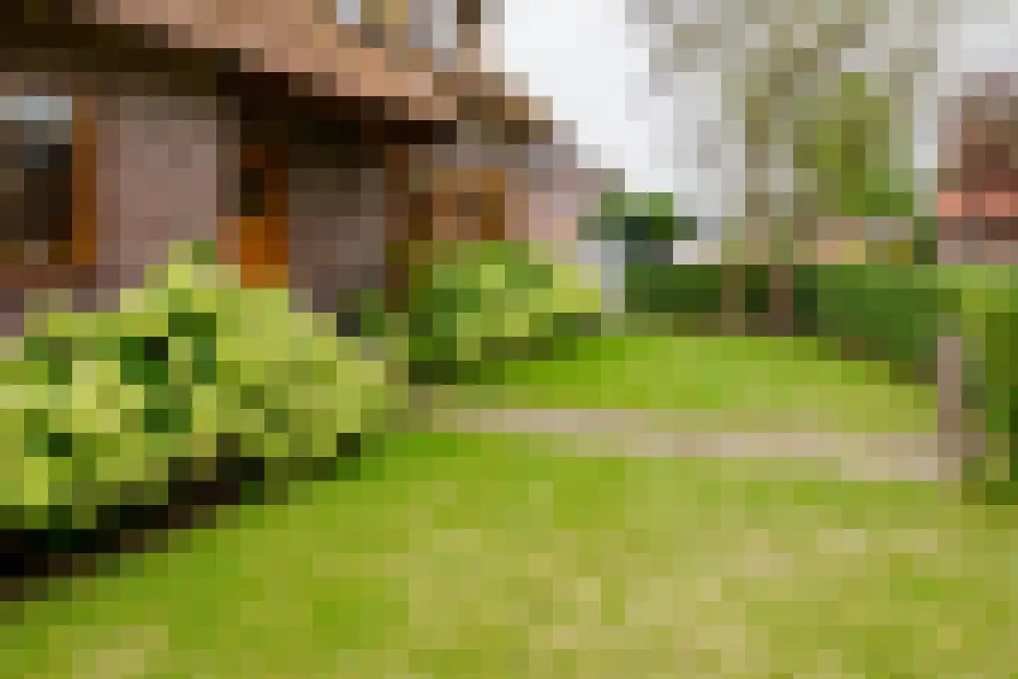 Oosteinde 196 Vriezenveen thumbnail 54