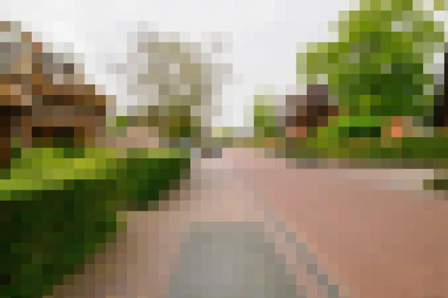 Oosteinde 196 Vriezenveen thumbnail 58