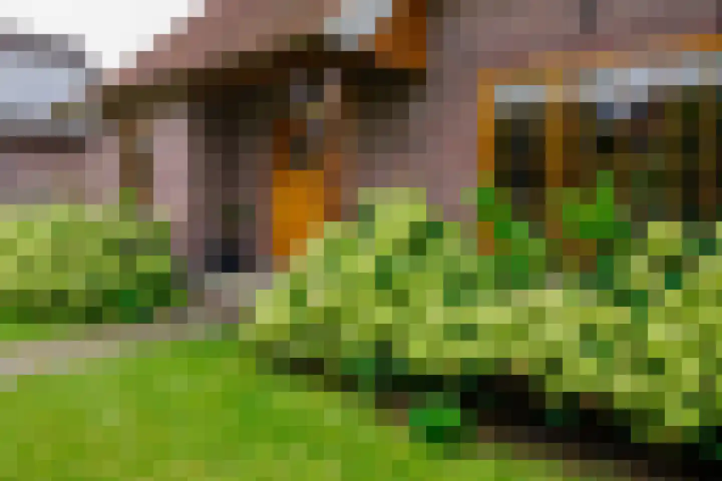 Oosteinde 196 Vriezenveen thumbnail 9