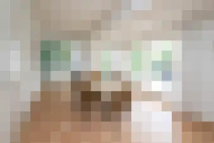 Oosteinde 2 Nieuwleusen thumbnail 11