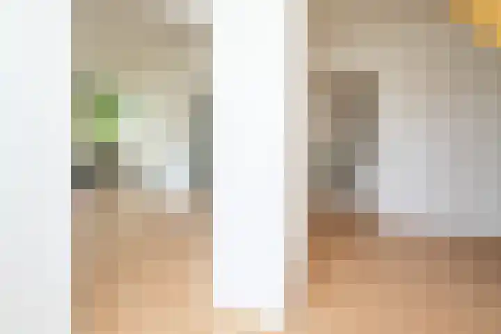 Oosteinde 2 Nieuwleusen thumbnail 16
