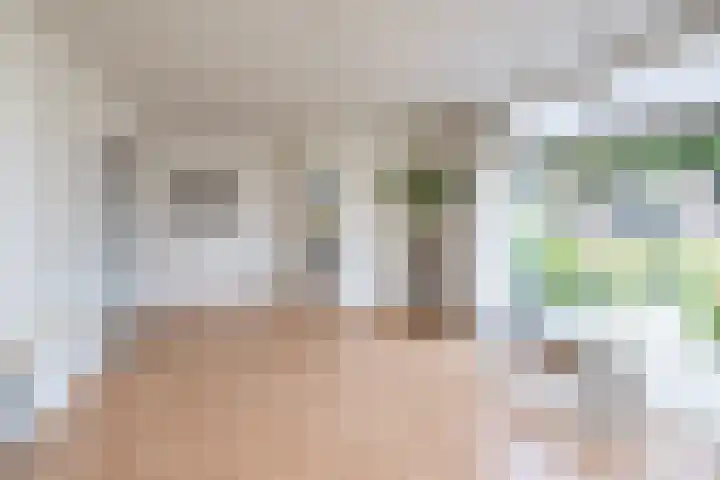 Oosteinde 2 Nieuwleusen thumbnail 17