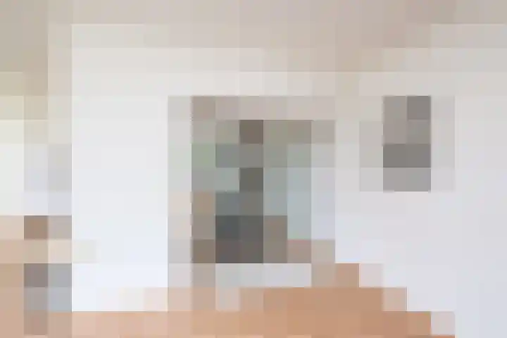 Oosteinde 2 Nieuwleusen thumbnail 18