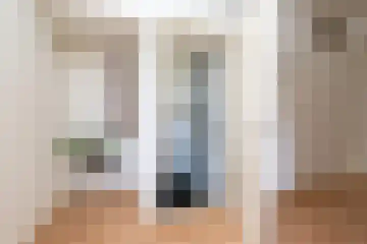 Oosteinde 2 Nieuwleusen thumbnail 19