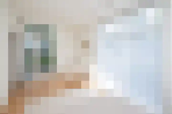 Oosteinde 2 Nieuwleusen thumbnail 20