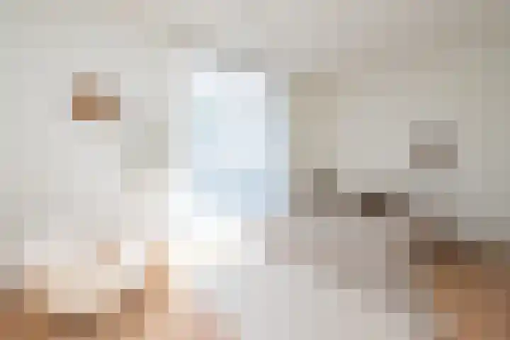 Oosteinde 2 Nieuwleusen thumbnail 21