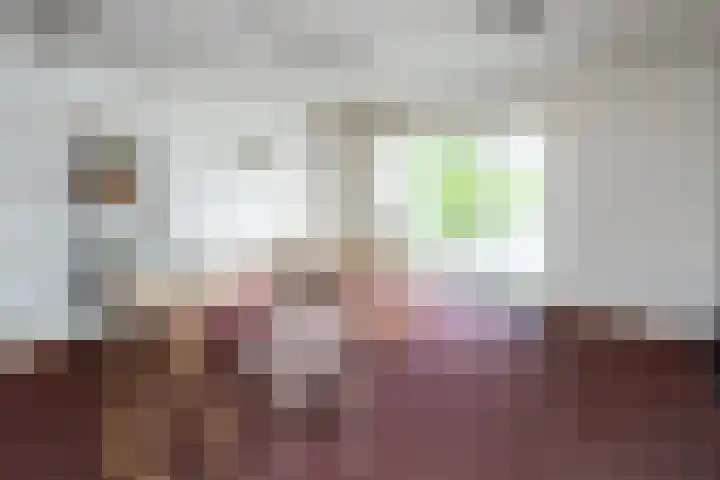 Oosteinde 2 Nieuwleusen thumbnail 23
