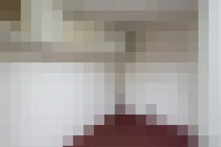 Oosteinde 2 Nieuwleusen thumbnail 24