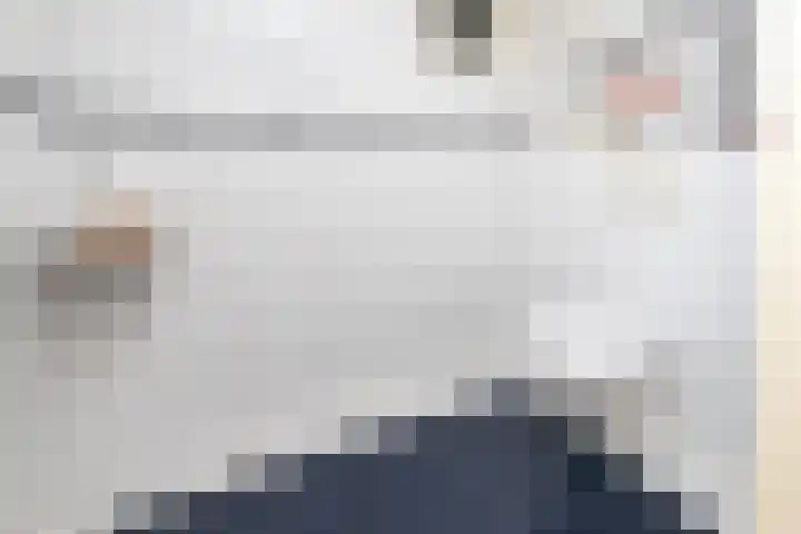 Oosteinde 2 Nieuwleusen thumbnail 27